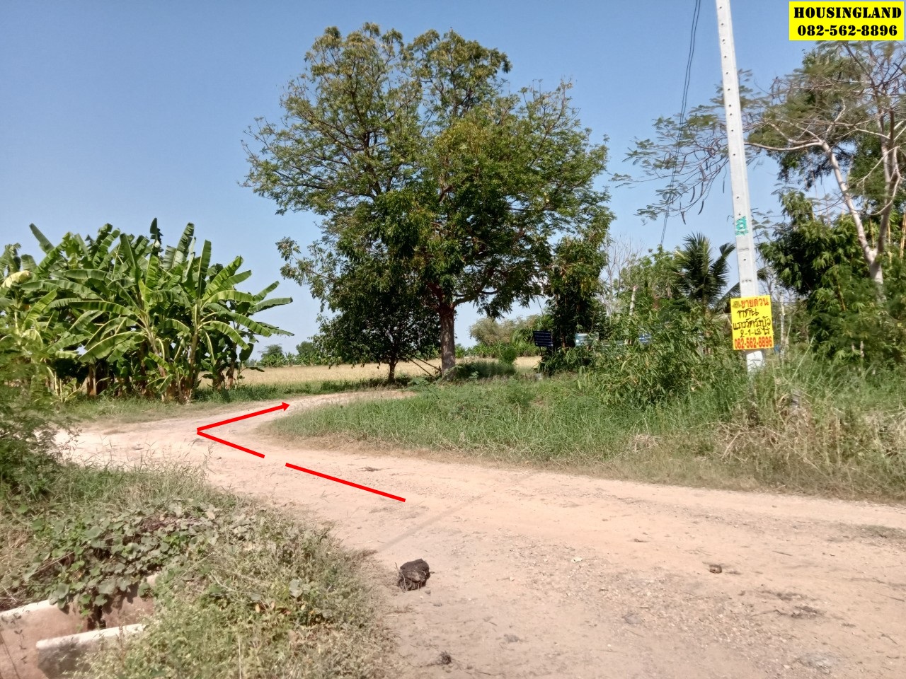 ขายที่ดินใกล้วัดวังบัว  ตำบลพิกุลออก  อำเภอบ้านนา จังหวัดนครนายก